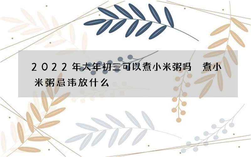 2022年大年初三可以煮小米粥吗 煮小米粥忌讳放什么
